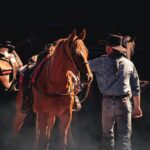 man in blue and white striped dress shirt and blue denim jeans standing beside brown horse