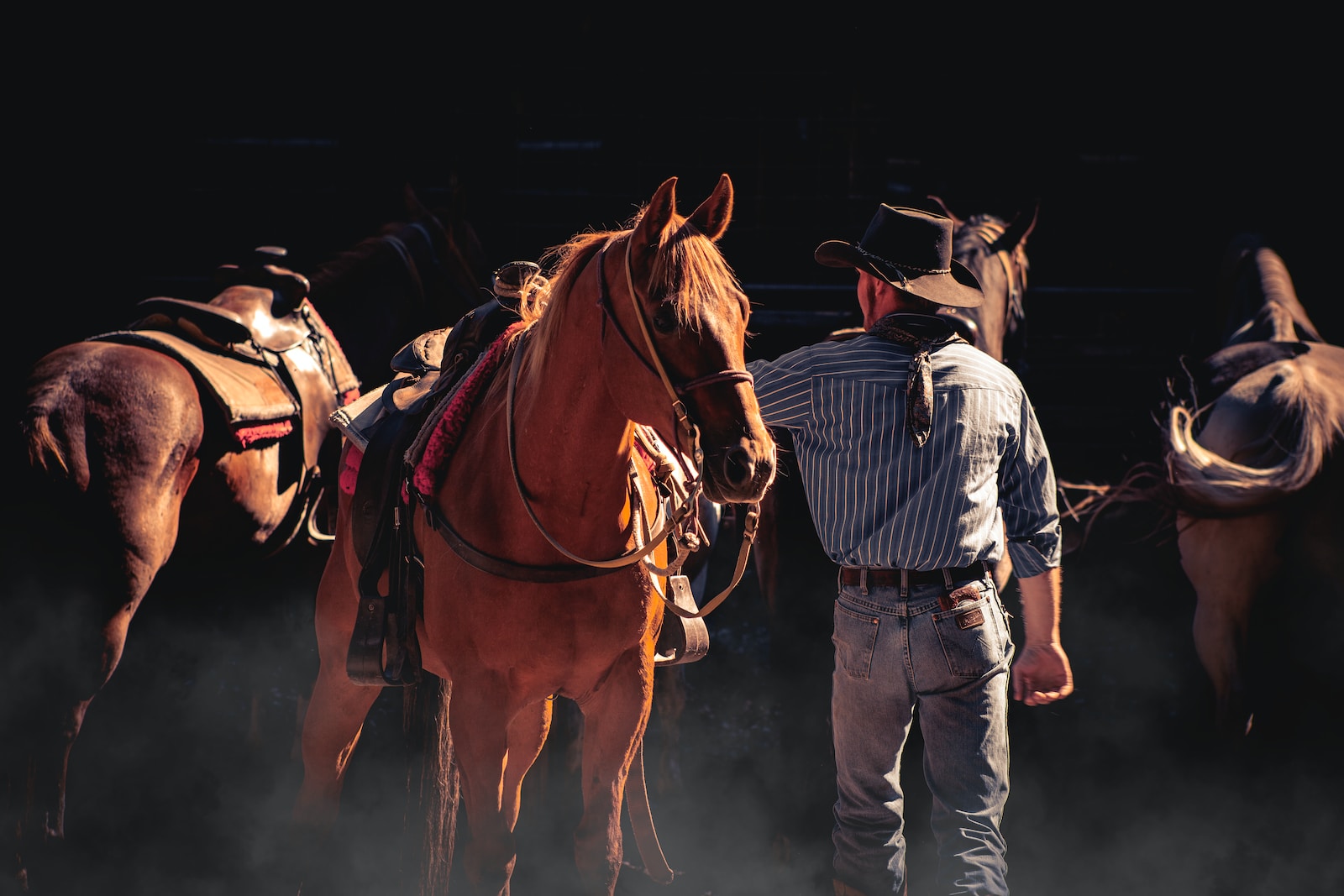 man in blue and white striped dress shirt and blue denim jeans standing beside brown horse