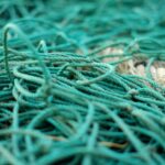 tilt shift photography of green ropes